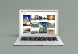 Selma Scheuss – Grafik