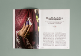 Selma Scheuss – Grafik