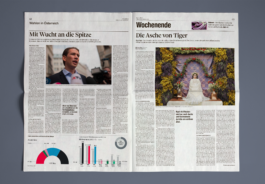 Selma Scheuss – Grafik